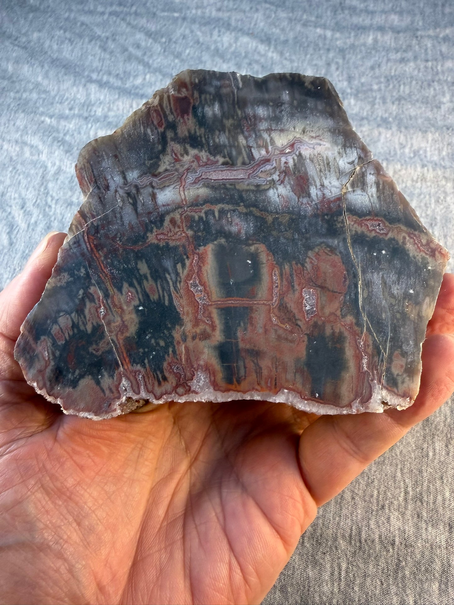 Petrified Wood Specimen #002 from Arizona