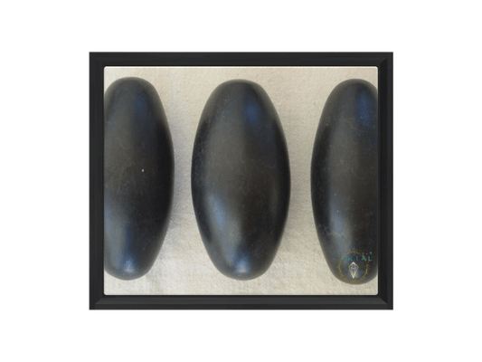 3 Black Linghams - Framed Canvas Art Print