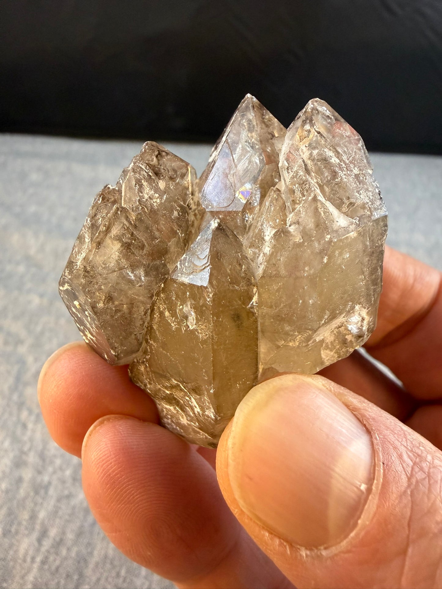Elestial Smoky Quartz #002 Minas Gerais Brazil