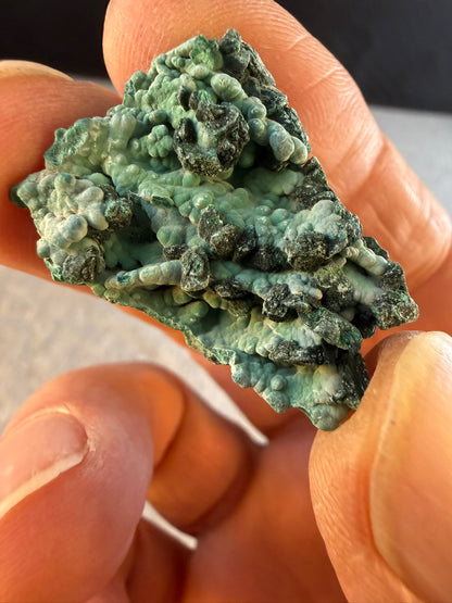 Botryoidal Malachite with Azurite Pseudomorphs #003