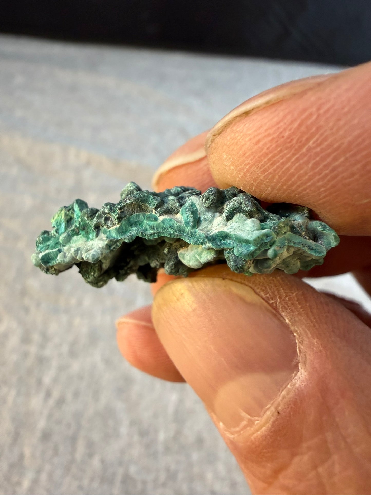 Botryoidal Malachite with Azurite Pseudomorphs #003