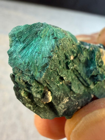 Chatoyant Malachite after Tabby Azurite Mexico #004