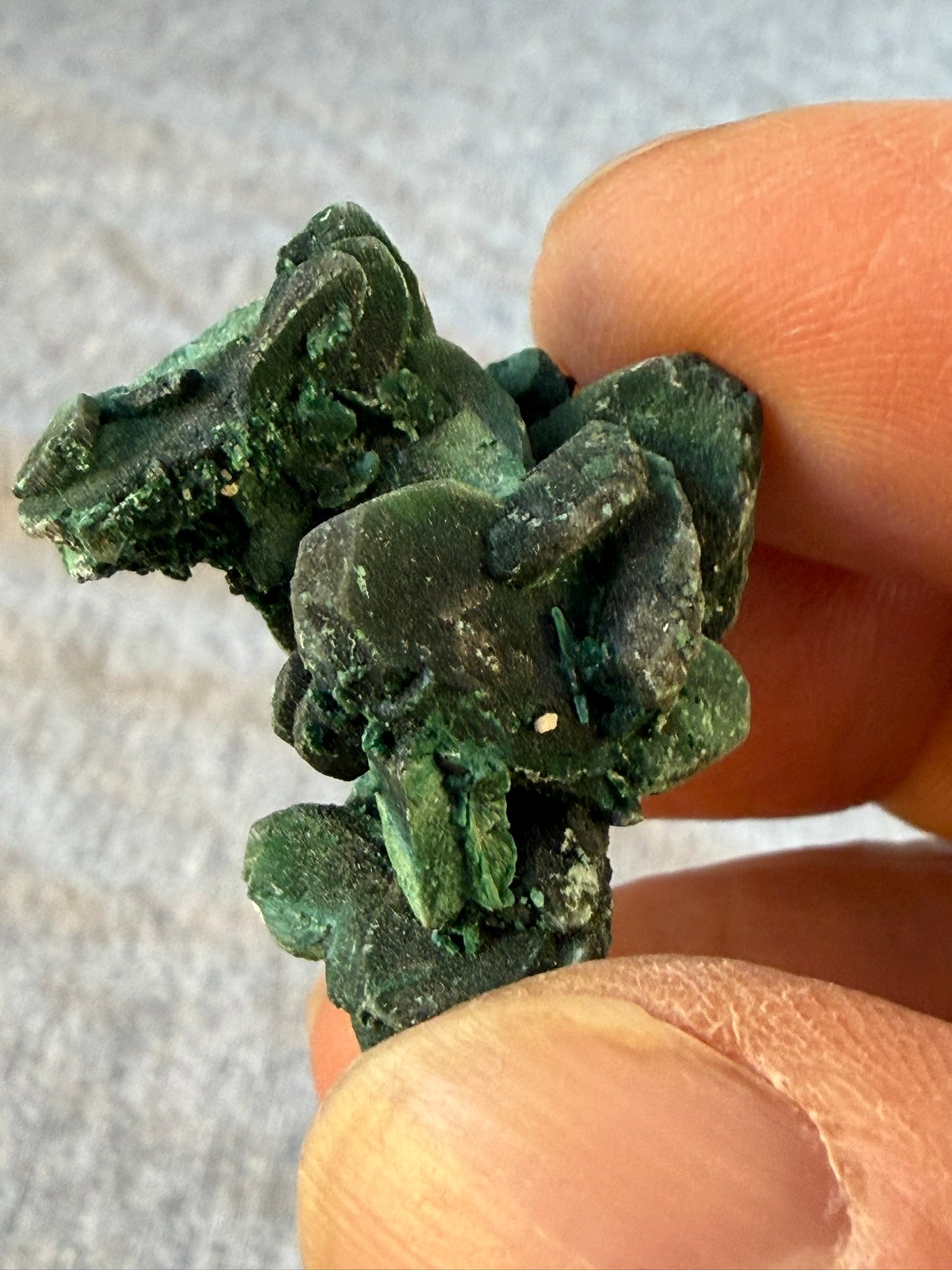 Velvet Chatoyant Malachite after Azurite #007