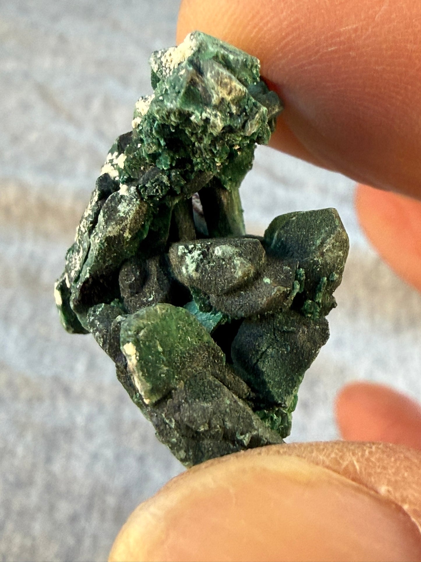 Velvet Chatoyant Malachite after Azurite #007