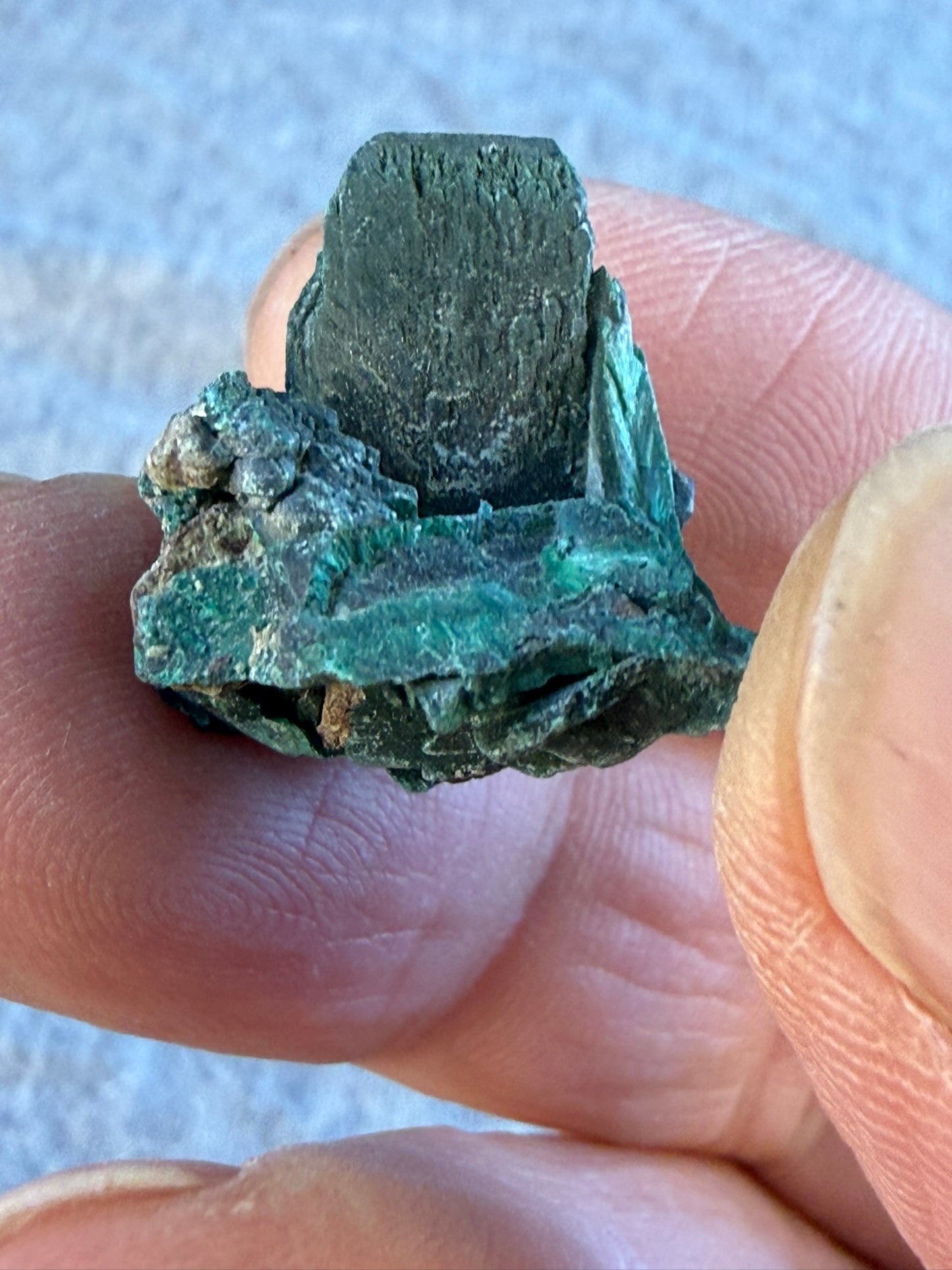 Velvet Chatoyant Malachite after Azurite Tabby #009
