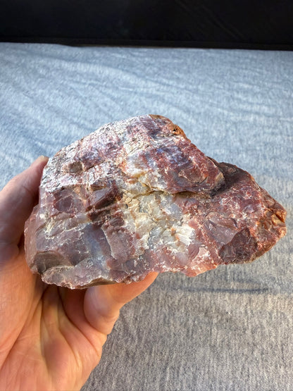 Petrified Wood Specimen #001 from Arizona