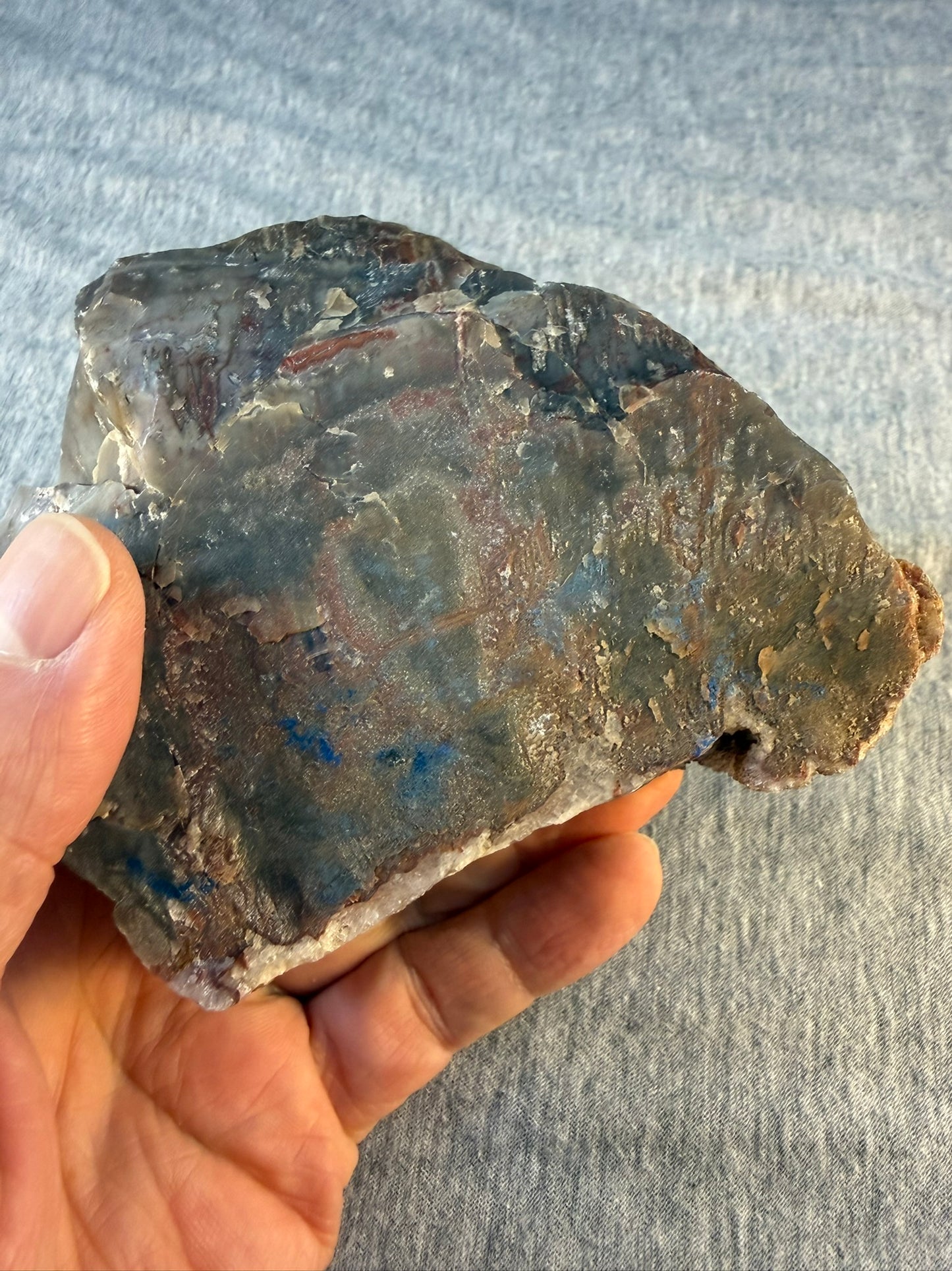 Petrified Wood Specimen #002 from Arizona