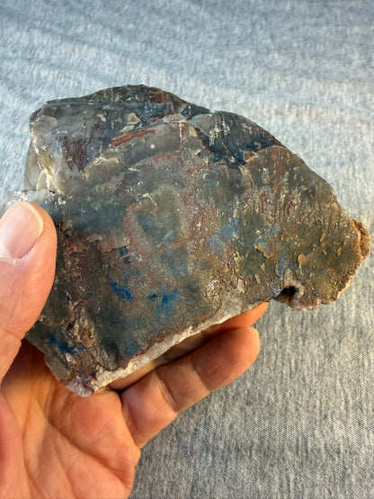 Petrified Wood Specimen #002 from Arizona