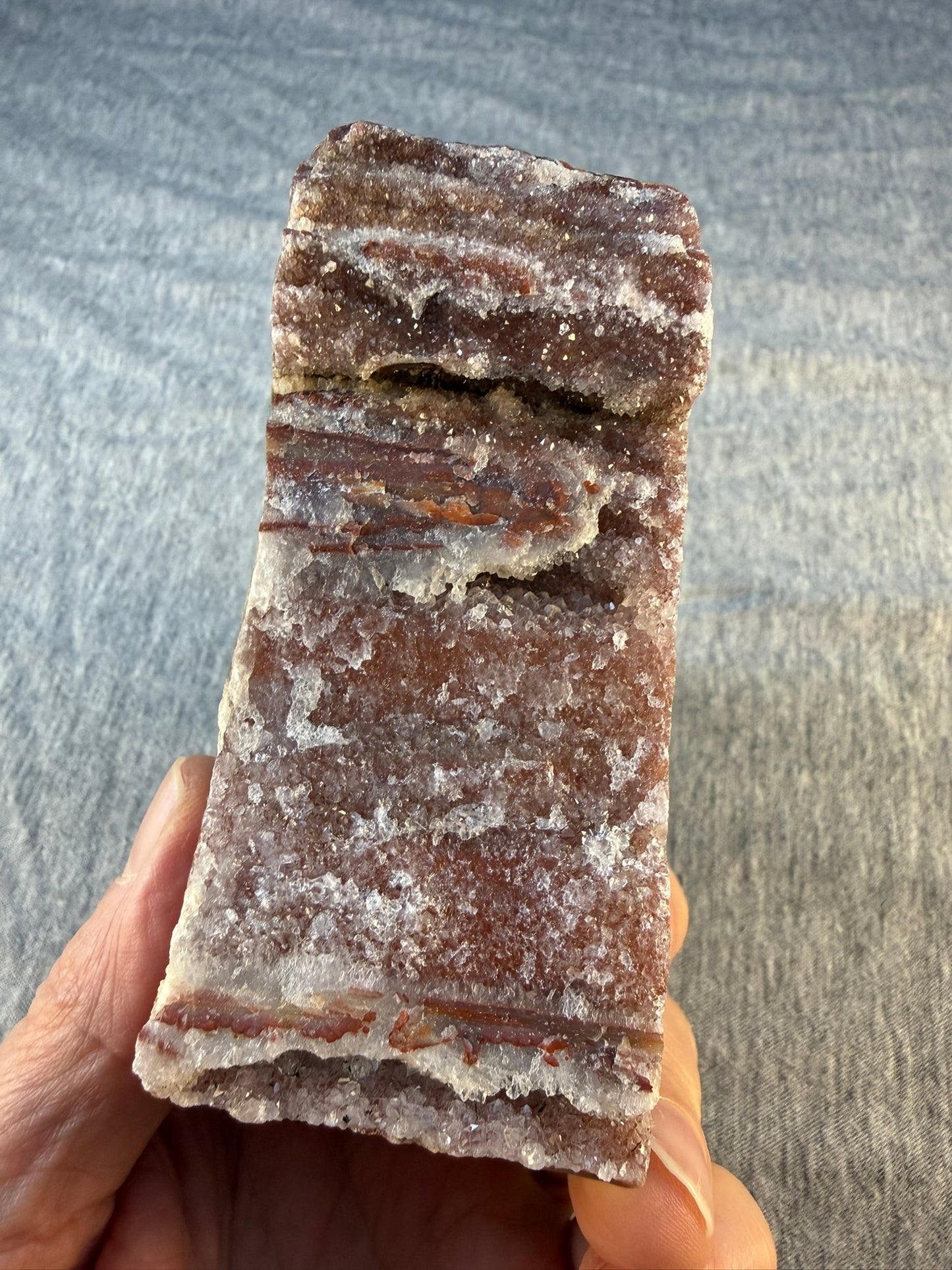 Petrified Wood Specimen #002 from Arizona