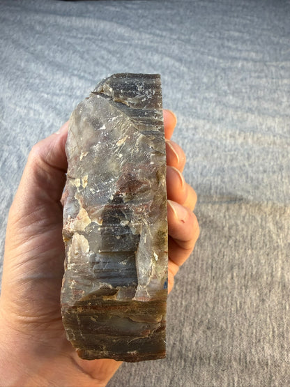 Petrified Wood Specimen #002 from Arizona