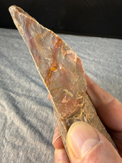 Petrified Wood Specimen #005 from Arizona