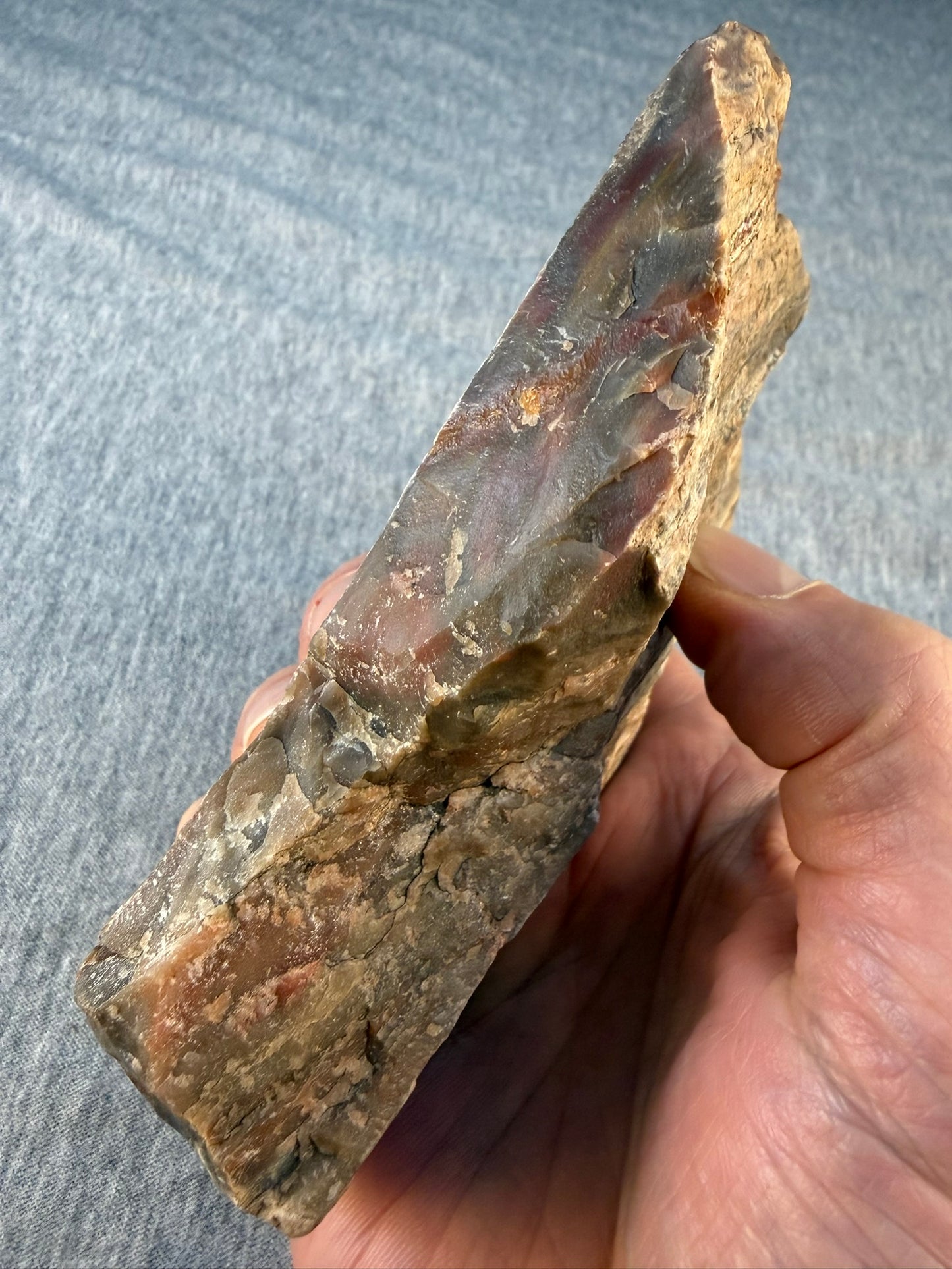 Petrified Wood Specimen #005 from Arizona