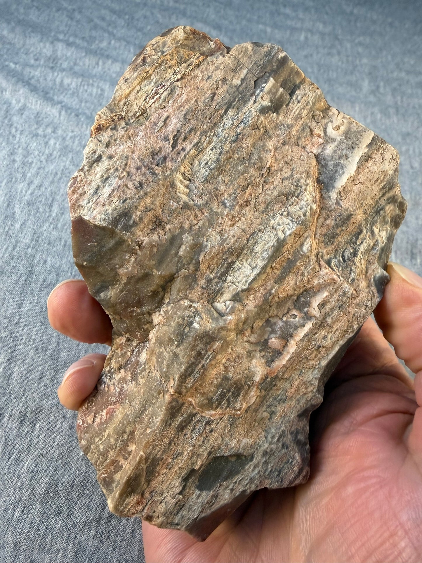 Petrified Wood Specimen #005 from Arizona