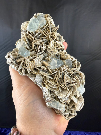 Aquamarine on Muscovite on Granite #002