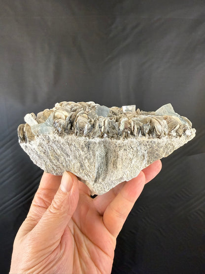 Aquamarine on Muscovite on Granite #002