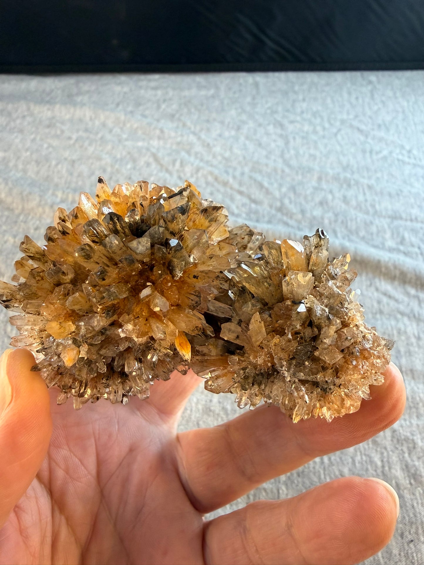Creedite Cluster #013 from Durango, Mexico