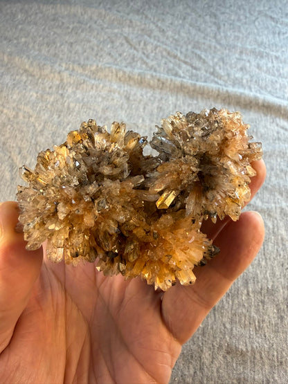 Creedite Cluster #013 from Durango, Mexico