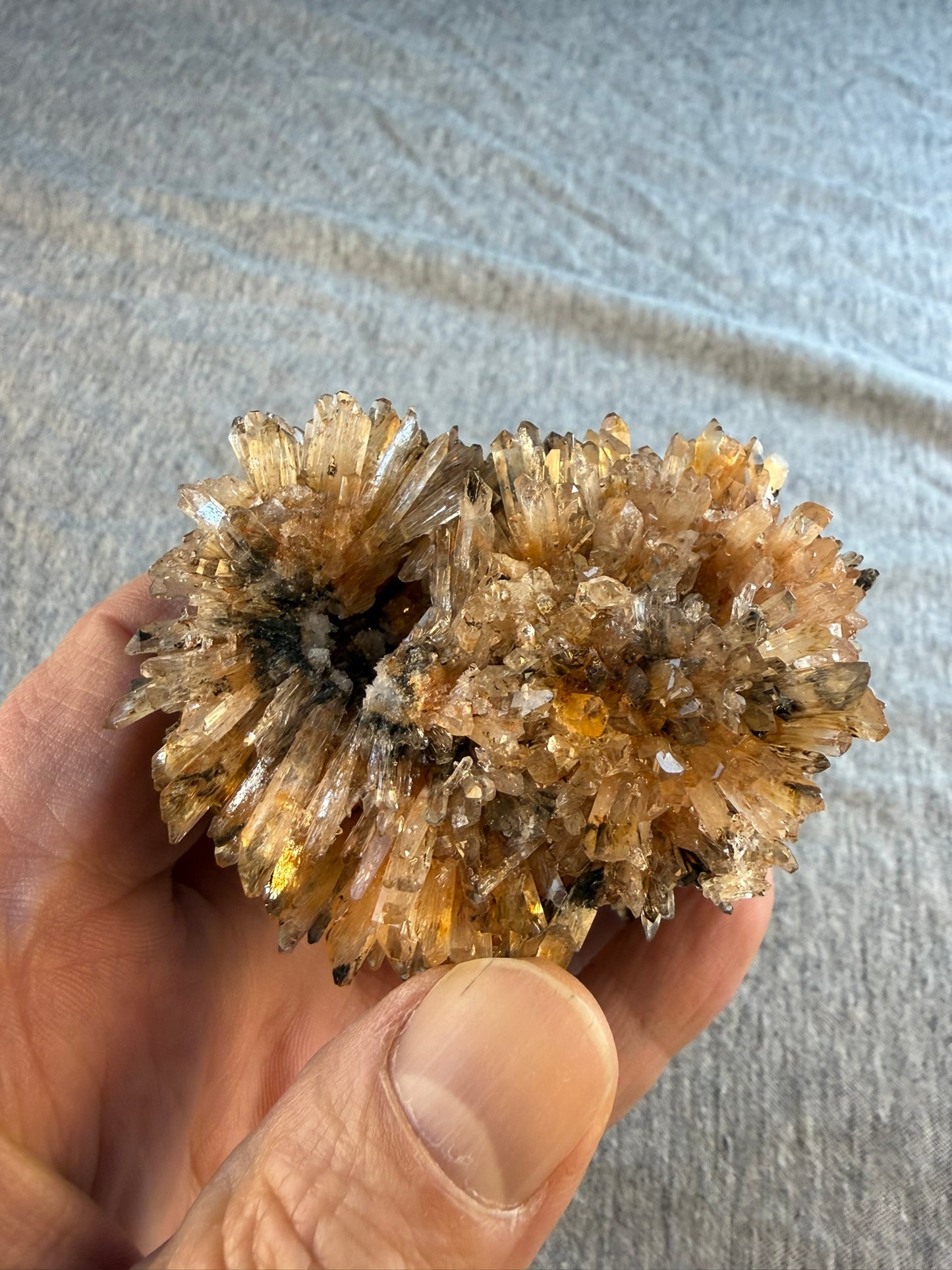 Creedite Cluster #013 from Durango, Mexico