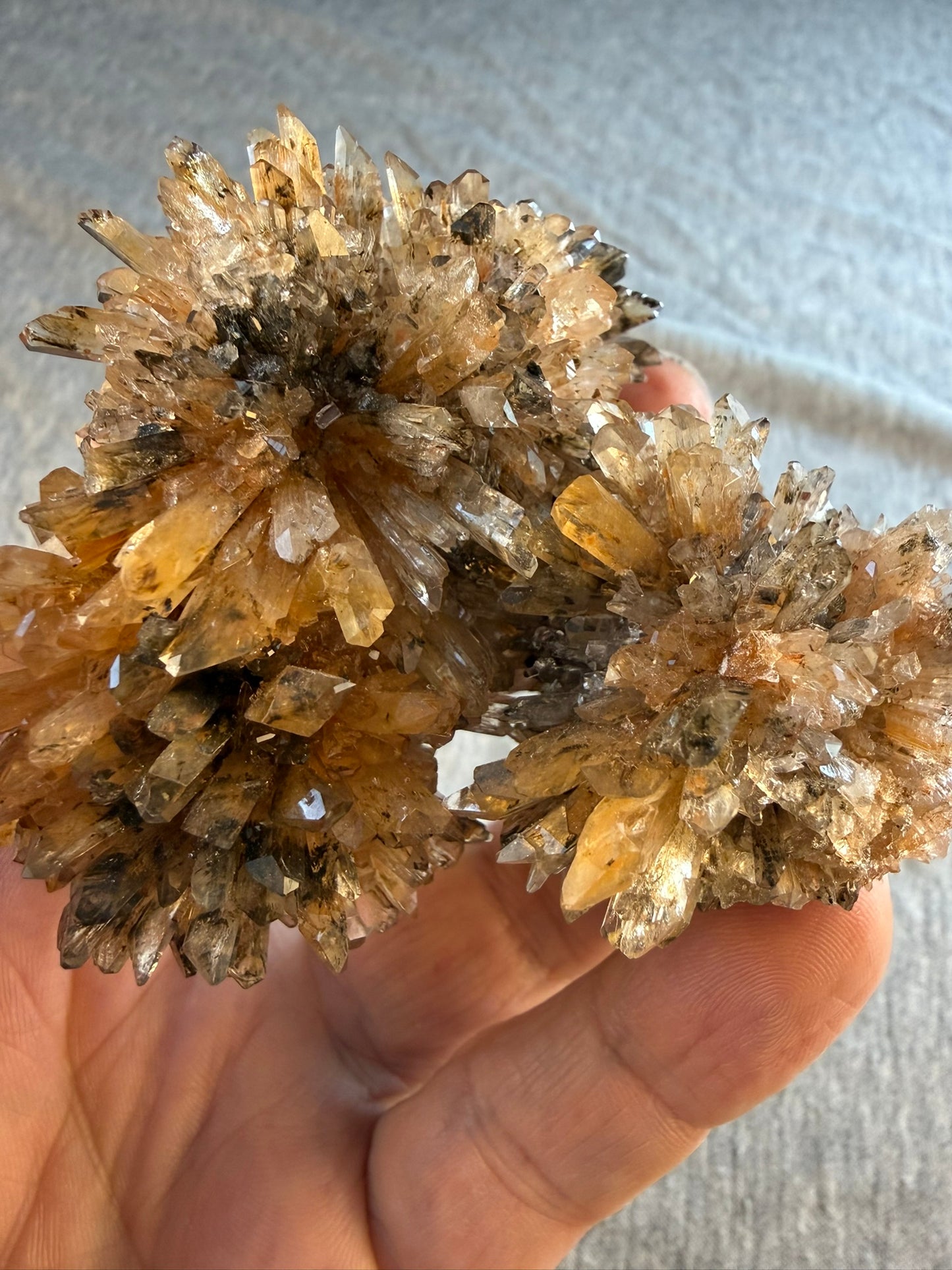 Creedite Cluster #013 from Durango, Mexico