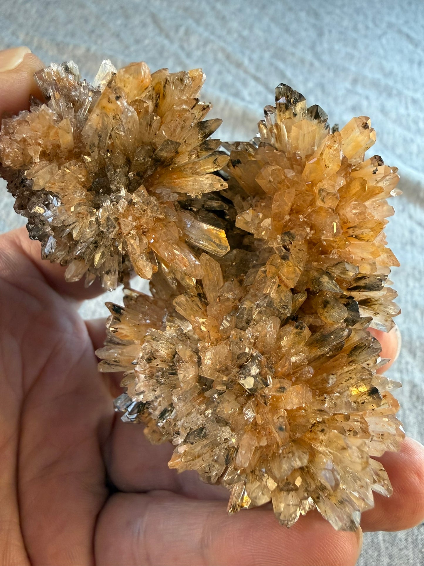 Creedite Cluster #013 from Durango, Mexico