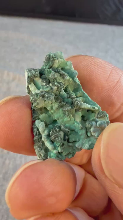 Botryoidal Malachite with Azurite Pseudomorphs #003