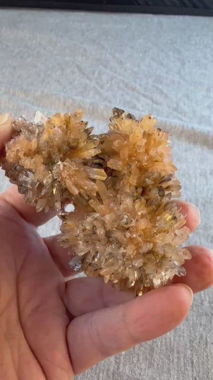 Creedite Cluster #013 from Durango, Mexico