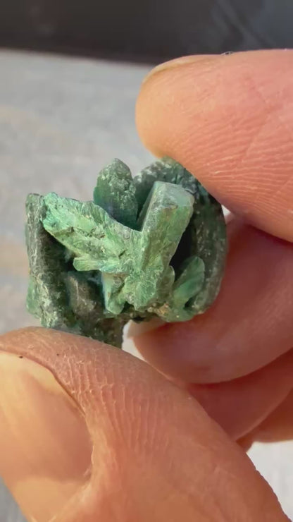 Malachite Pseudomorph after Azurite Mexico #002